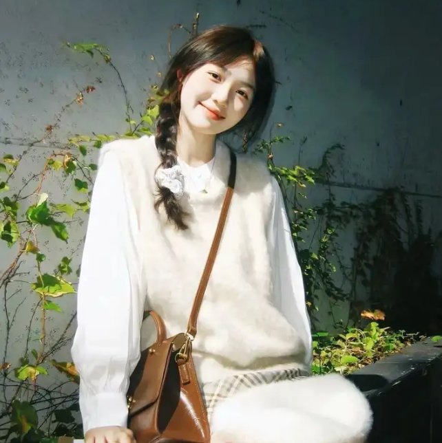 翼·年代记 剧场版 鸟笼国的公主